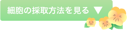 細胞の採取方法