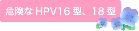 危険なHPV16型、18型